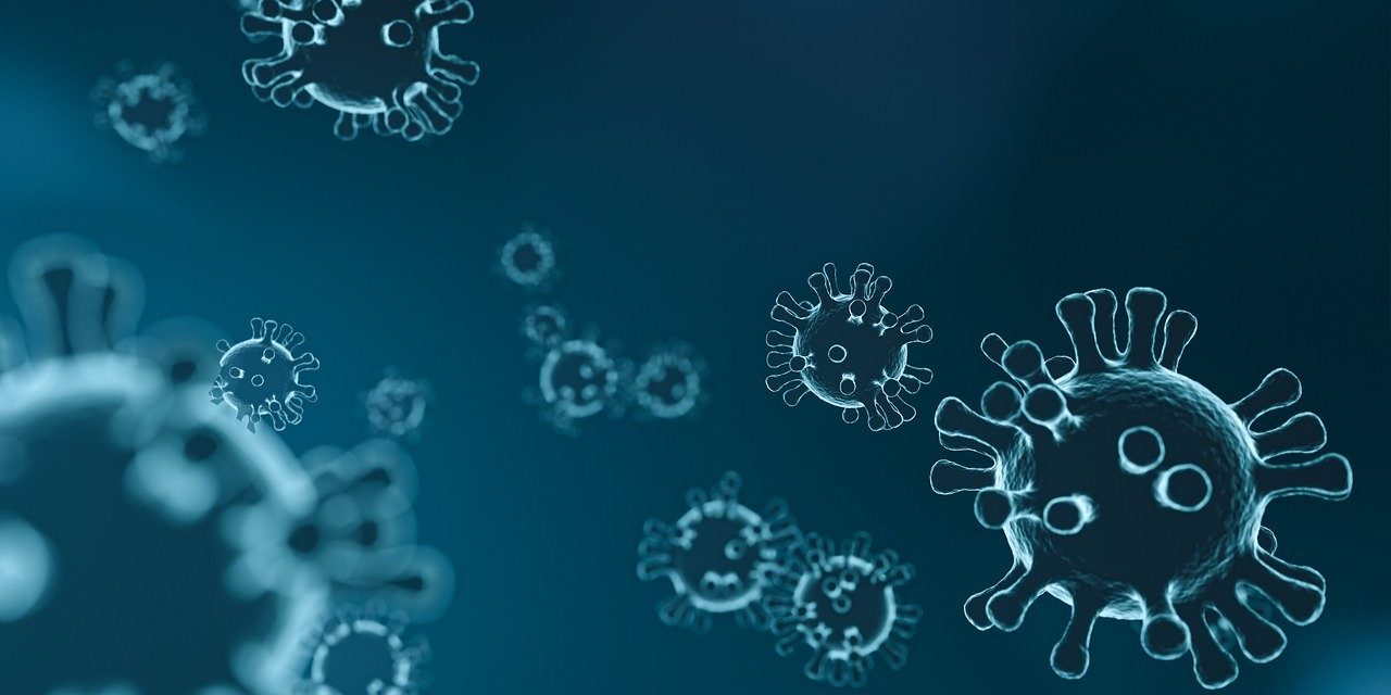 virus-4835301_1280 Karanténa zapríčinená koronavírusom